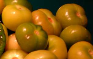 tomatillos tomatillos