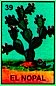 Nopal Nopal
